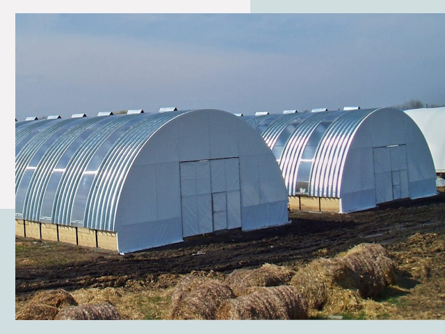 Сельскохозяйственные здания в Пскове