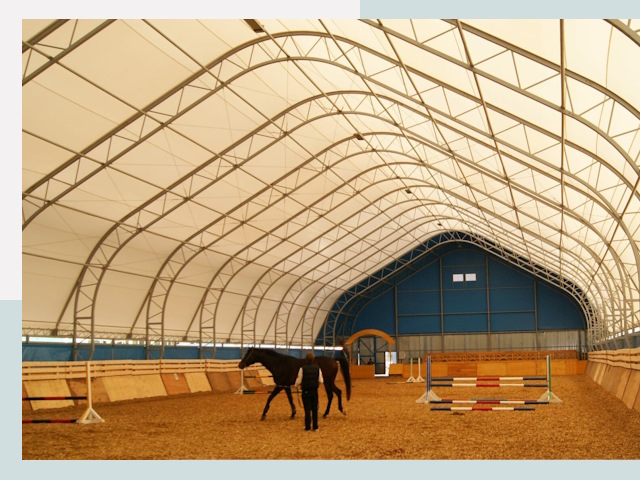 Строительство конных манежей в Пскове